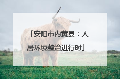 安阳市内黄县：人居环境整治进行时